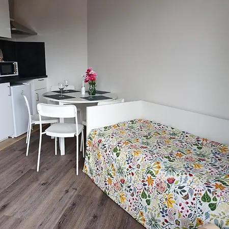 Brand New #20 Near Center With Free Street Parking 公寓