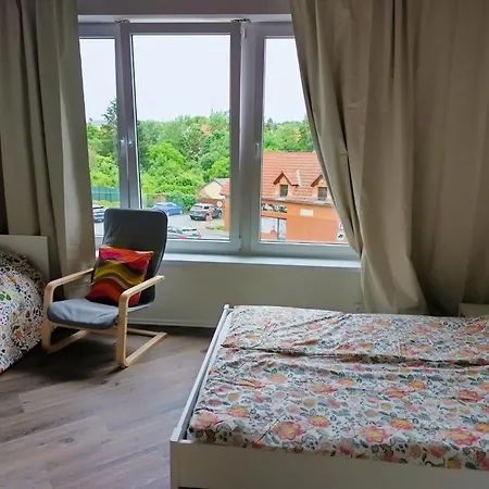 Brand New #20 Near Center With Free Street Parking Διαμέρισμα *